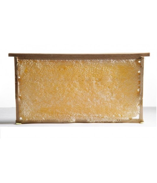 Doğal Petek Çiçek Balı 2000 g